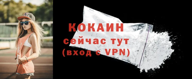 дарнет шоп  Кингисепп  Cocaine VHQ 